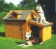 Hundehütte isoliert und wärmegedämmte Hündehütten mit Wärmedämmung und Isolierung